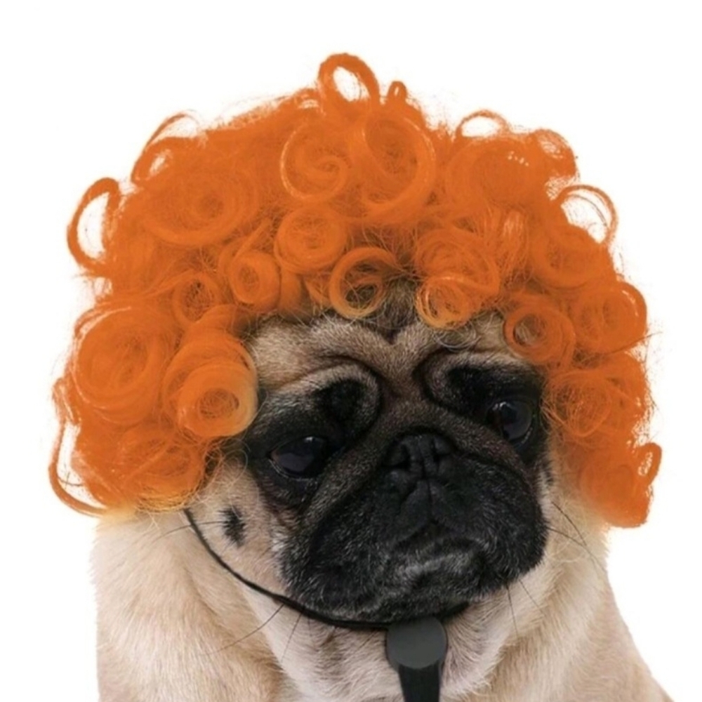 Orange Curly Dog Wig 🧡